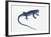 Ruin Lizard (Podarcis Sicula)-null-Framed Giclee Print