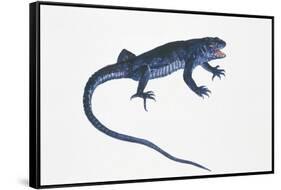 Ruin Lizard (Podarcis Sicula)-null-Framed Stretched Canvas