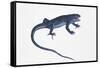 Ruin Lizard (Podarcis Sicula)-null-Framed Stretched Canvas