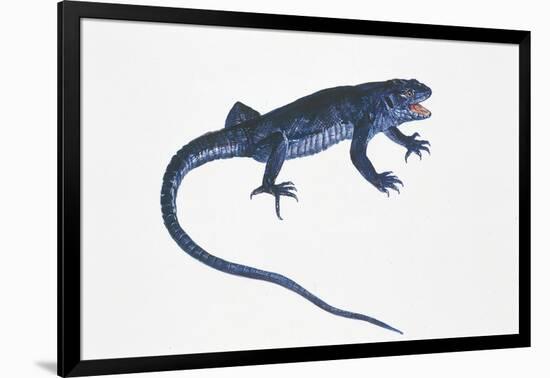 Ruin Lizard (Podarcis Sicula)-null-Framed Giclee Print