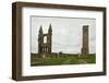 Ruin of St Andrews Cathedral in St Andrews Scotland-trotalo-Framed Photographic Print