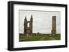 Ruin of St Andrews Cathedral in St Andrews Scotland-trotalo-Framed Photographic Print