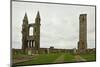 Ruin of St Andrews Cathedral in St Andrews Scotland-trotalo-Mounted Photographic Print