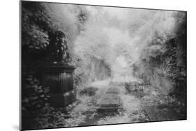 Ruined Chapel, Kells-In-Ossory, County Kilkenny, Ireland-Simon Marsden-Mounted Giclee Print