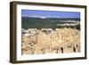 Ruined Citadel, Siwah, Egypt-Vivienne Sharp-Framed Photographic Print