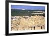 Ruined Citadel, Siwah, Egypt-Vivienne Sharp-Framed Photographic Print