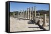 Ruined Colonnaded Main Street-Stuart Black-Framed Stretched Canvas