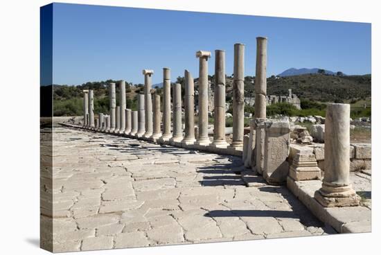 Ruined Colonnaded Main Street-Stuart Black-Stretched Canvas