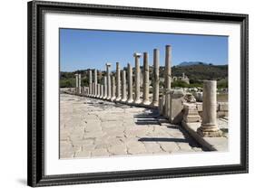 Ruined Colonnaded Main Street-Stuart Black-Framed Photographic Print