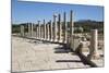 Ruined Colonnaded Main Street-Stuart Black-Mounted Photographic Print