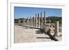 Ruined Colonnaded Main Street-Stuart Black-Framed Photographic Print