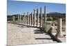 Ruined Colonnaded Main Street-Stuart Black-Mounted Photographic Print