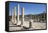 Ruined Colonnaded Main Street-Stuart Black-Framed Stretched Canvas