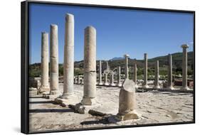 Ruined Colonnaded Main Street-Stuart Black-Framed Photographic Print