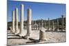 Ruined Colonnaded Main Street-Stuart Black-Mounted Photographic Print