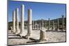 Ruined Colonnaded Main Street-Stuart Black-Mounted Photographic Print