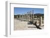 Ruined Colonnaded Main Street-Stuart Black-Framed Photographic Print