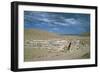 Ruined Corbelled Arch of an Aqueduct, Jerwan, Iraq, 1977-Vivienne Sharp-Framed Photographic Print
