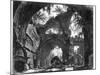 Ruined Gallery of the Villa Adriana at Tivoli-Giovanni Battista Piranesi-Mounted Giclee Print