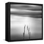Ruined Pier 05-George Digalakis-Framed Stretched Canvas
