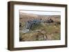 Ruined Prehistoric Farmhouse-David Lomax-Framed Photographic Print