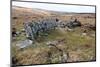 Ruined Prehistoric Farmhouse-David Lomax-Mounted Photographic Print