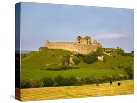 Ruined Walls of Roche Castle, County Louth, Ireland-null-Stretched Canvas