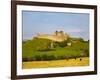 Ruined Walls of Roche Castle, County Louth, Ireland-null-Framed Photographic Print