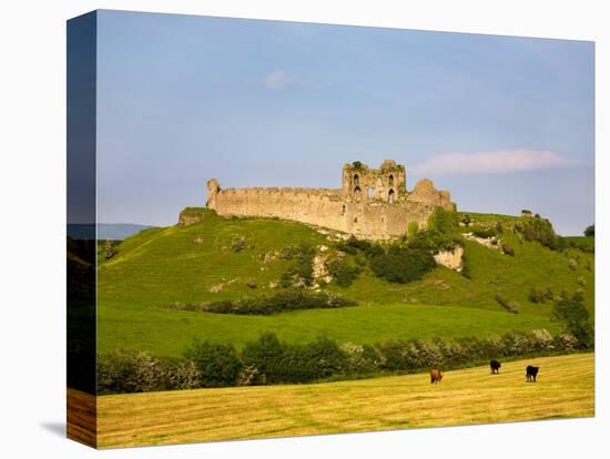 Ruined Walls of Roche Castle, County Louth, Ireland-null-Stretched Canvas