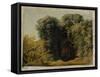 Ruines d'une arcade touffée d'herbes-Pierre Henri de Valenciennes-Framed Stretched Canvas