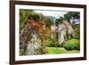 Ruins and Blooming Flowers-George Oze-Framed Photographic Print