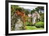 Ruins and Blooming Flowers-George Oze-Framed Photographic Print