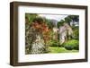 Ruins and Blooming Flowers-George Oze-Framed Photographic Print