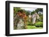 Ruins and Blooming Flowers-George Oze-Framed Photographic Print