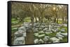 Ruins at the Acropolis of Rhodes, Rhodes City, Rhodes, Dodecanese, Greek Islands, Greece, Europe-Jochen Schlenker-Framed Stretched Canvas