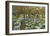 Ruins at the Acropolis of Rhodes, Rhodes City, Rhodes, Dodecanese, Greek Islands, Greece, Europe-Jochen Schlenker-Framed Photographic Print