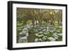 Ruins at the Acropolis of Rhodes, Rhodes City, Rhodes, Dodecanese, Greek Islands, Greece, Europe-Jochen Schlenker-Framed Photographic Print