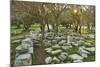 Ruins at the Acropolis of Rhodes, Rhodes City, Rhodes, Dodecanese, Greek Islands, Greece, Europe-Jochen Schlenker-Mounted Photographic Print