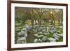 Ruins at the Acropolis of Rhodes, Rhodes City, Rhodes, Dodecanese, Greek Islands, Greece, Europe-Jochen Schlenker-Framed Photographic Print