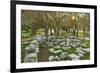 Ruins at the Acropolis of Rhodes, Rhodes City, Rhodes, Dodecanese, Greek Islands, Greece, Europe-Jochen Schlenker-Framed Photographic Print