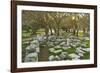 Ruins at the Acropolis of Rhodes, Rhodes City, Rhodes, Dodecanese, Greek Islands, Greece, Europe-Jochen Schlenker-Framed Photographic Print