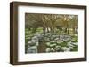 Ruins at the Acropolis of Rhodes, Rhodes City, Rhodes, Dodecanese, Greek Islands, Greece, Europe-Jochen Schlenker-Framed Photographic Print