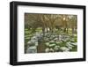 Ruins at the Acropolis of Rhodes, Rhodes City, Rhodes, Dodecanese, Greek Islands, Greece, Europe-Jochen Schlenker-Framed Photographic Print