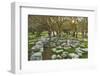 Ruins at the Acropolis of Rhodes, Rhodes City, Rhodes, Dodecanese, Greek Islands, Greece, Europe-Jochen Schlenker-Framed Photographic Print