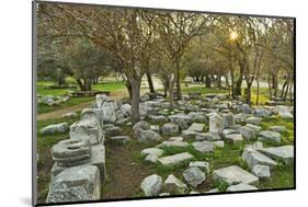 Ruins at the Acropolis of Rhodes, Rhodes City, Rhodes, Dodecanese, Greek Islands, Greece, Europe-Jochen Schlenker-Mounted Photographic Print