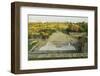 Ruins at the Acropolis of Rhodes, Rhodes City, Rhodes, Dodecanese, Greek Islands, Greece, Europe-Jochen Schlenker-Framed Photographic Print