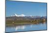 Ruins by a lake on Tibetan Plateau, Dhaulagiri (8167m), Shigatse Prefecture, Tibet, China-Keren Su-Mounted Photographic Print