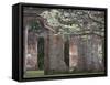 Ruins in the Spring of Old Sheldon Church, South Carolina, Usa-Joanne Wells-Framed Stretched Canvas