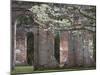 Ruins in the Spring of Old Sheldon Church, South Carolina, Usa-Joanne Wells-Mounted Photographic Print