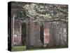 Ruins in the Spring of Old Sheldon Church, South Carolina, Usa-Joanne Wells-Stretched Canvas